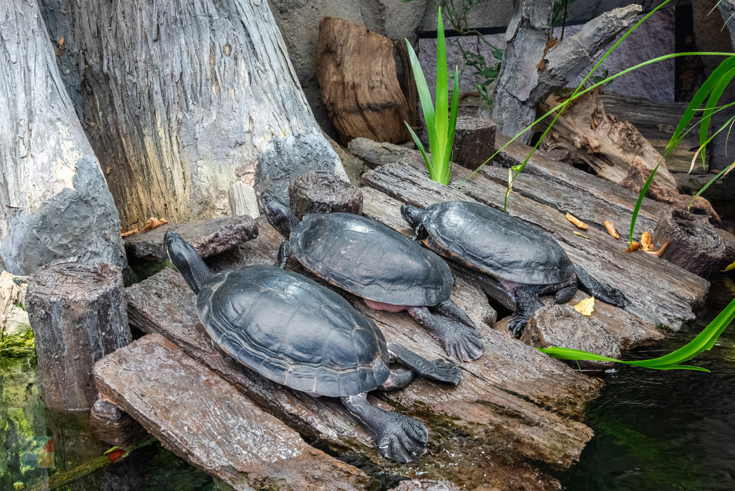 NC Aquarium on Roanoke Island