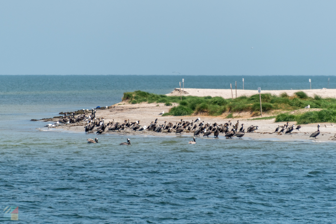 Link to Ocracoke-NC.com